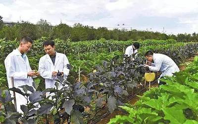 理性看待农业投资热 警惕“热投资、冷农民”现象