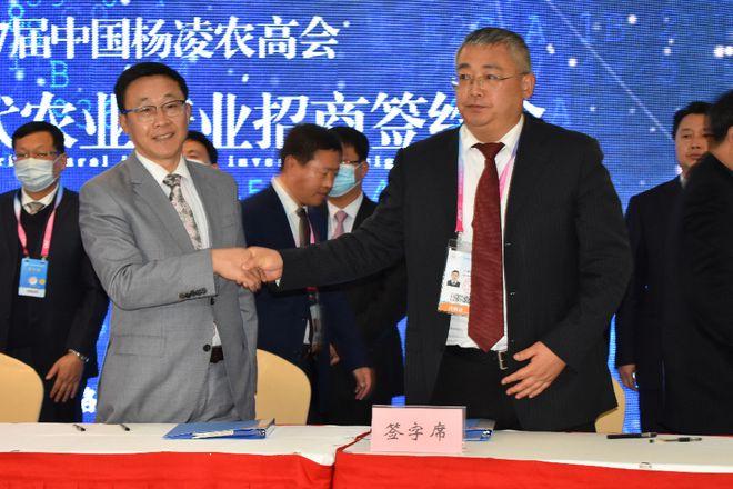 好消息洛南县最新又引进了一个大项目总投资10亿元