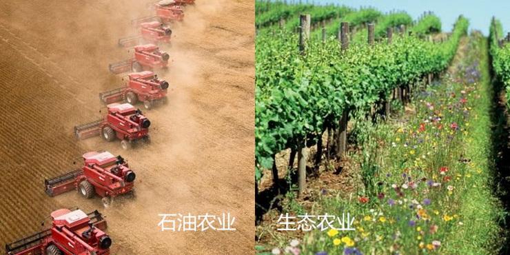 未来10年中国农业的投资机遇与策略